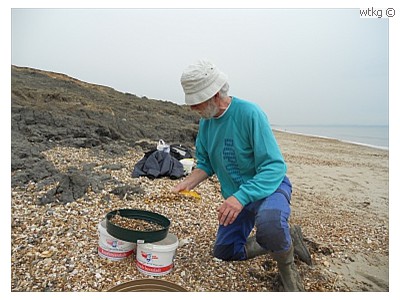 Bij Highcliffe (Barton on Sea) kon worden gezeefd.